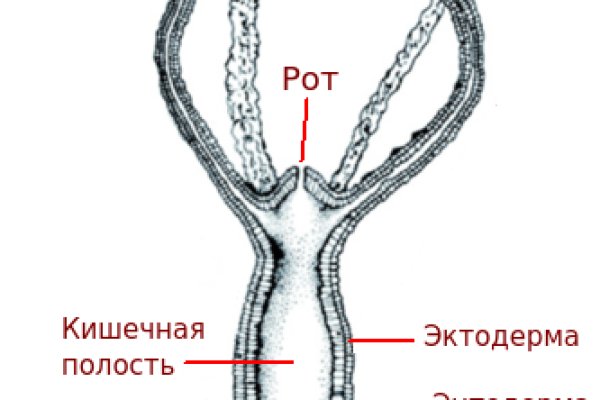 Кракен даркнет площадка