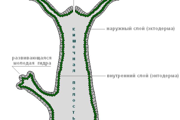 Кракен сайт официальный vtor run