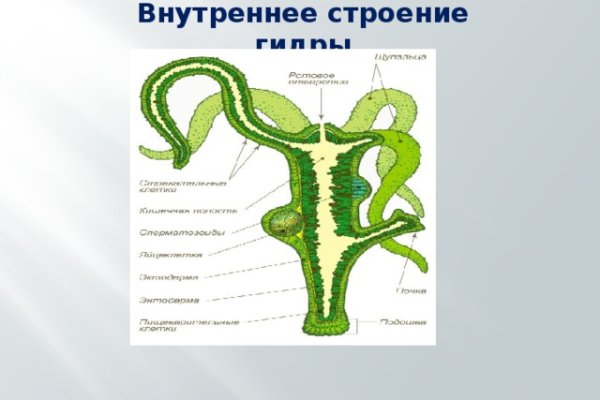 Зарегистрироваться на сайте кракен