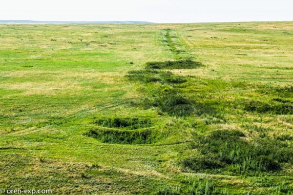 Зайти на кракен через браузер