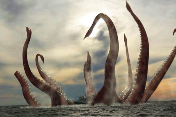 Kraken даркнет рынок