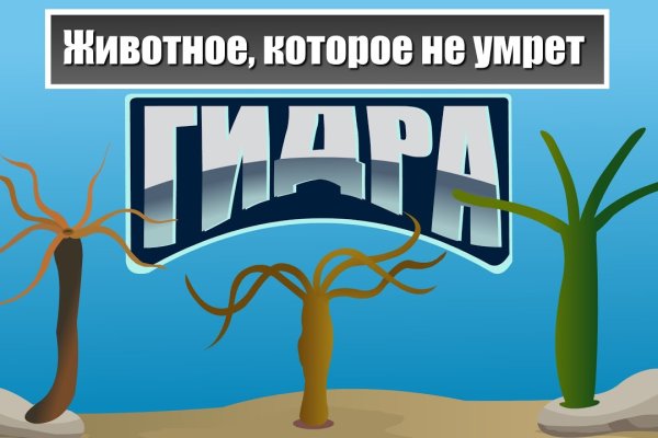 Каталог сайтов даркнет